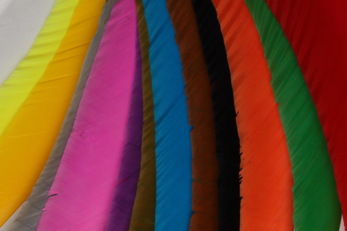 Naturfeder Volle Länge Trueflight